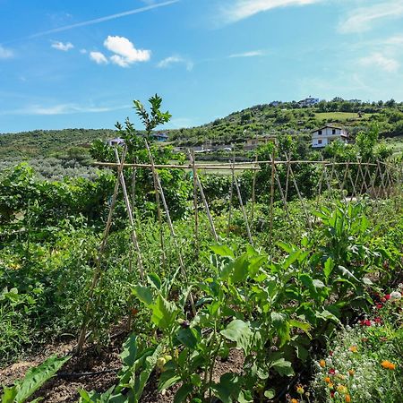 Villa Xherimeja Family Oasis Берат Экстерьер фото