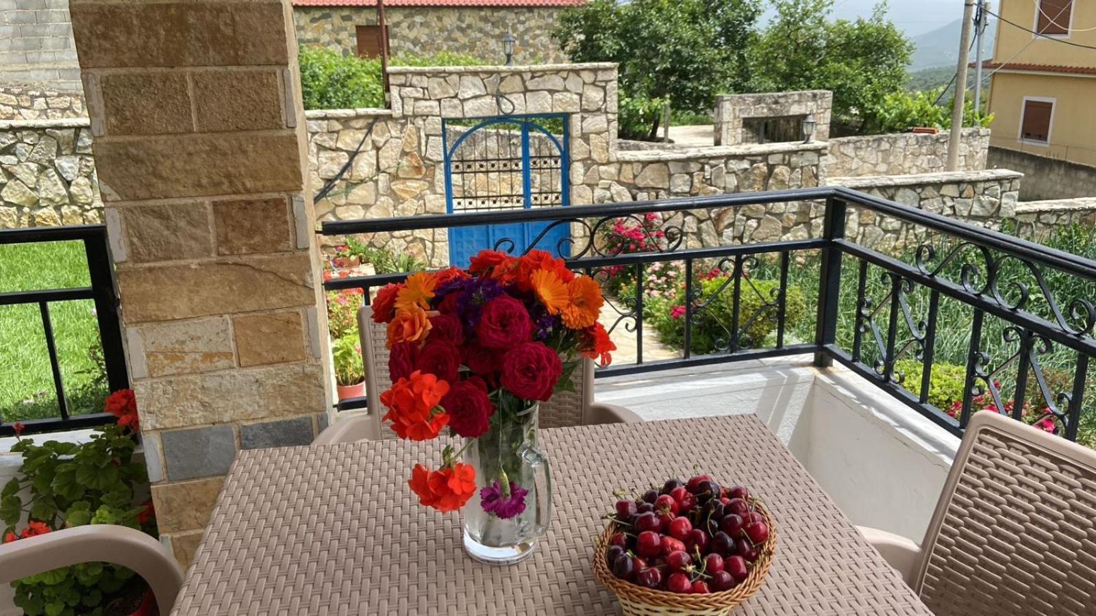 Villa Xherimeja Family Oasis Берат Номер фото